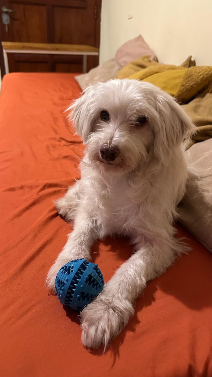 Beatri_eric tweet media