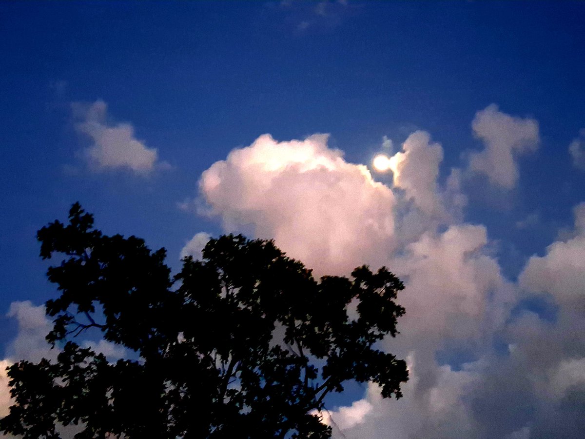 lije_letters tweet media