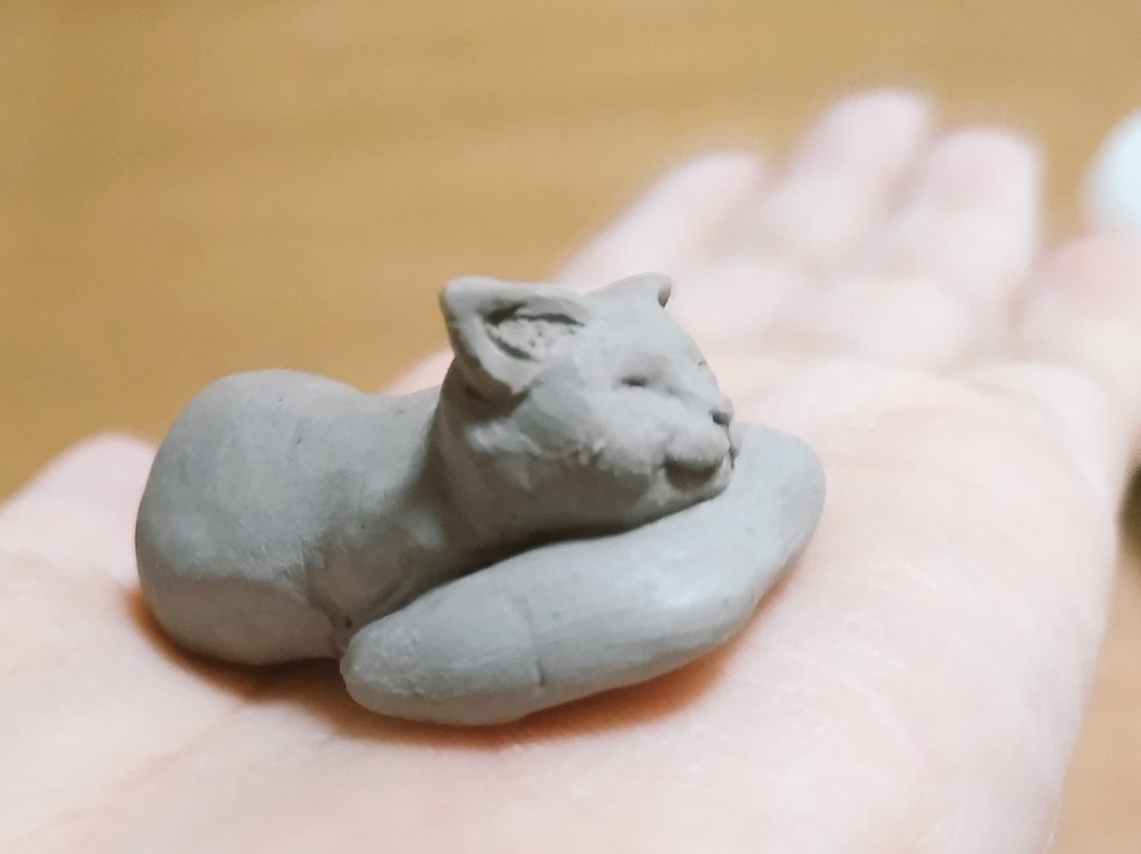 海辺のMacco tweet media