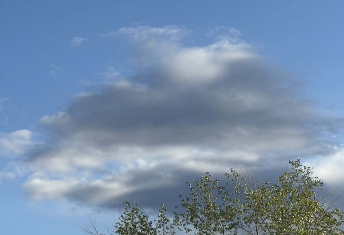 jonimarielew's tweet image. #clouds in the desert.  #skies #Nevada #desert #trees