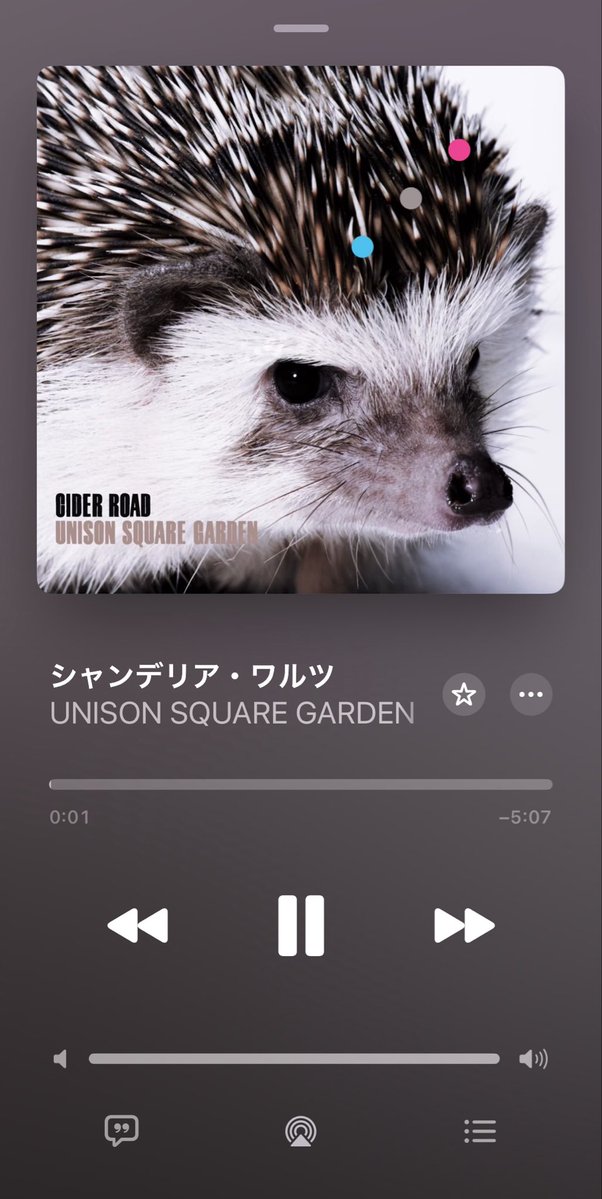 ヘーゼル大地🌸 tweet media