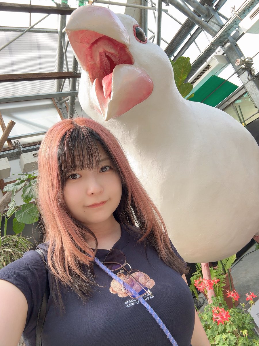 南 夏海 tweet media