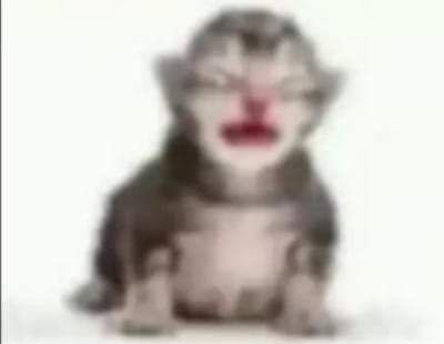 lix ꣑ৎ tweet media