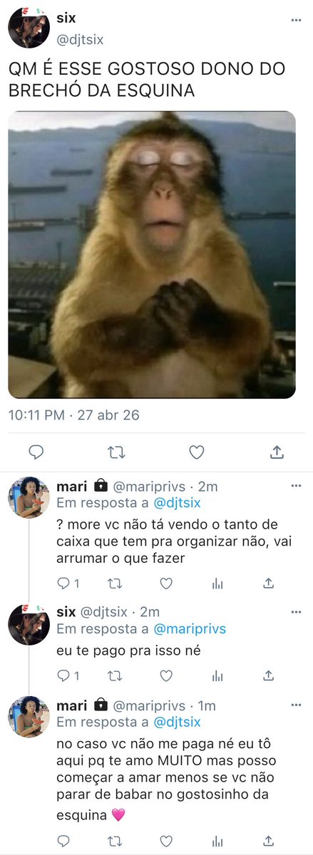 maria tweet media