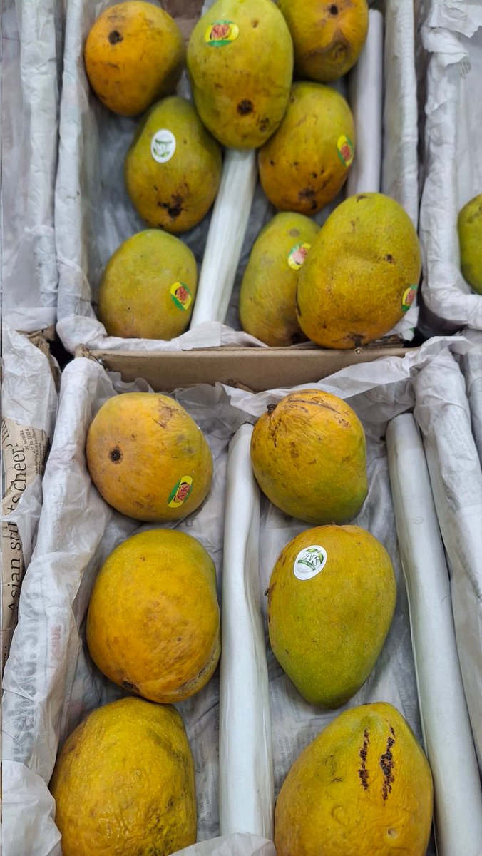 UpadhyayTolaram's tweet image. #bharat #fruit 

भारतीय अल्फांसो (हापुस) रईस आम