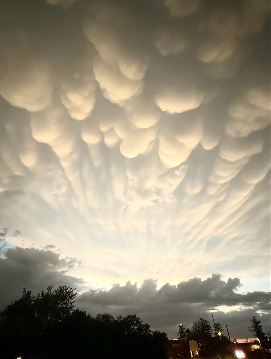 Jen Walton tweet media