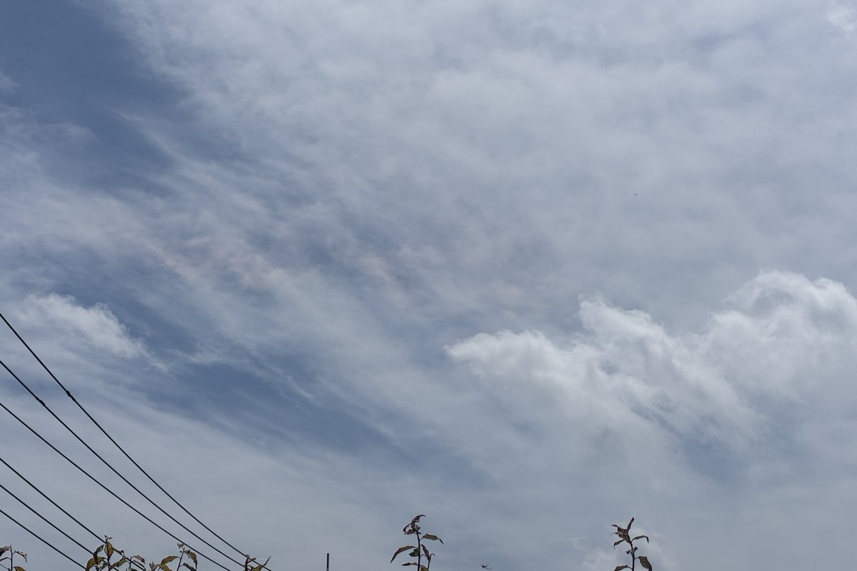環水平アーク出現開始（雲厚め）📱