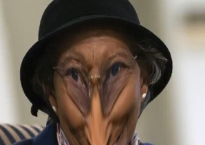 FatTalkM's tweet photo. @StrideLearn #birdface https://t.co/xHxkPgUheq