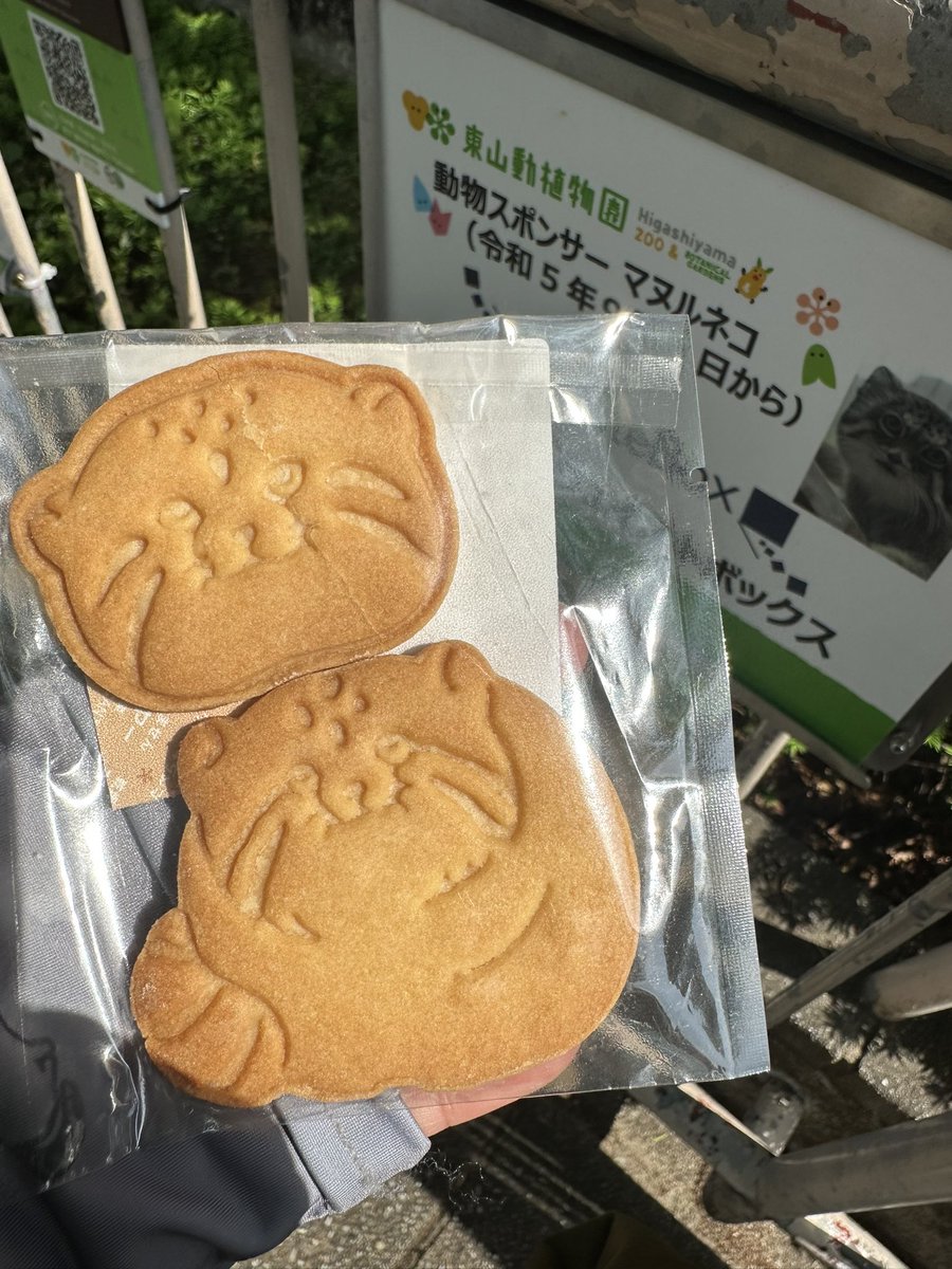 myao53 tweet media