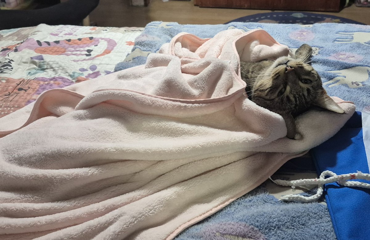 La Esa (Marilyn) 🍷 tweet media