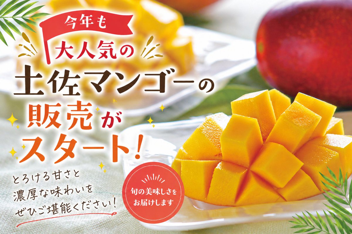 🥭今年も大人気！土佐マンゴー販売スタート！ とろける甘さと濃厚な