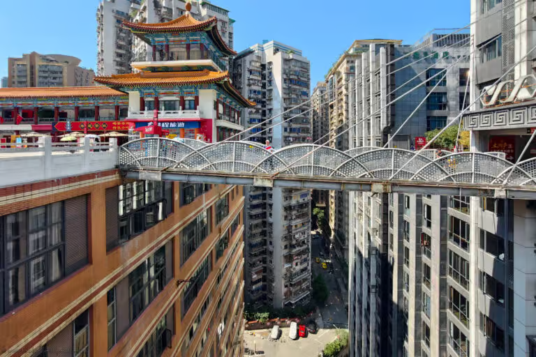 Noah Smith 🐇🇺🇸🇺🇦🇹🇼 tweet media