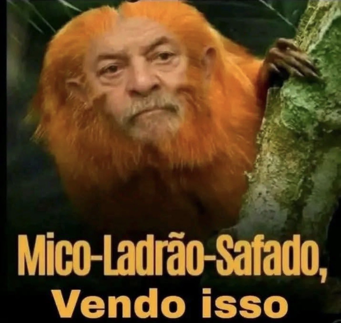 Roberto Marques tweet media