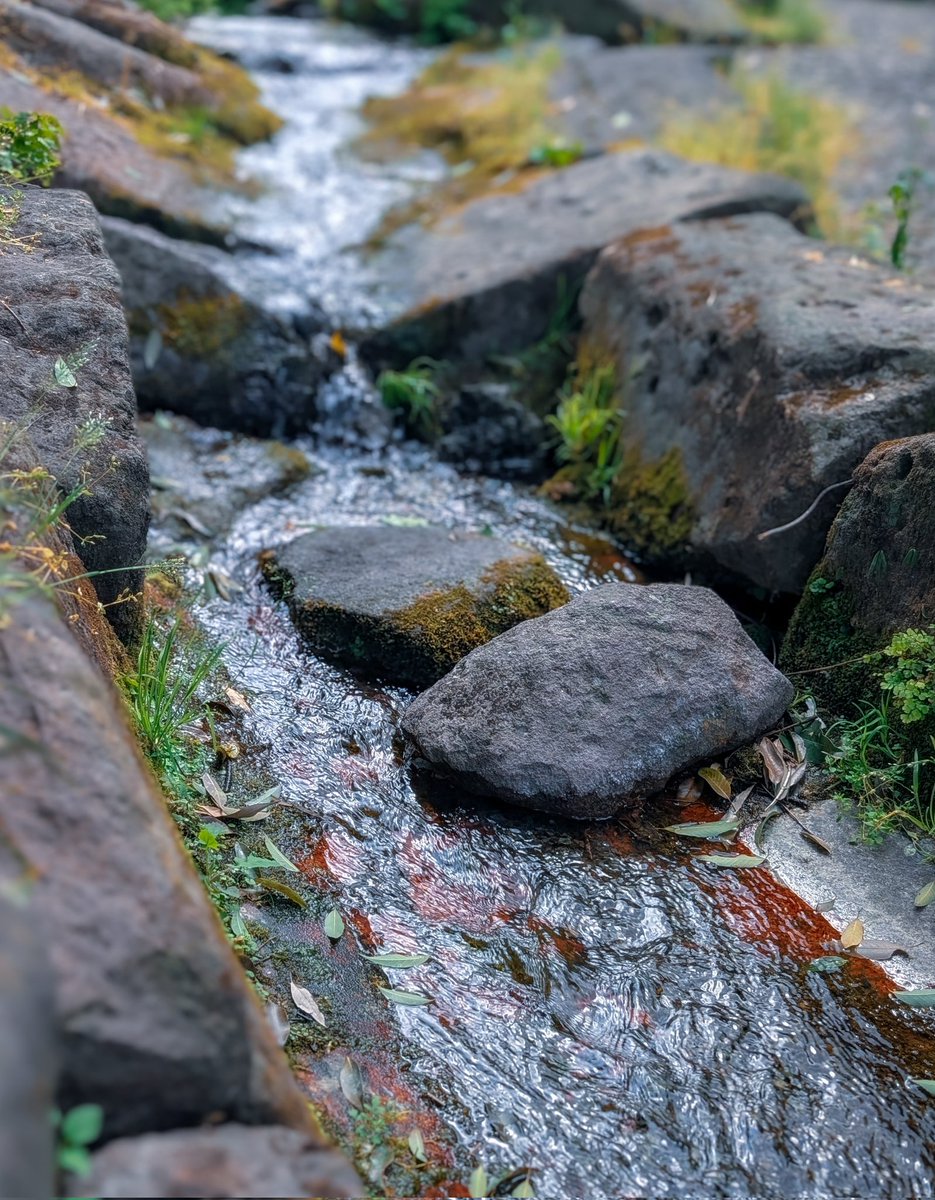 蜜咲ばぅ🍭飴細工師 tweet media