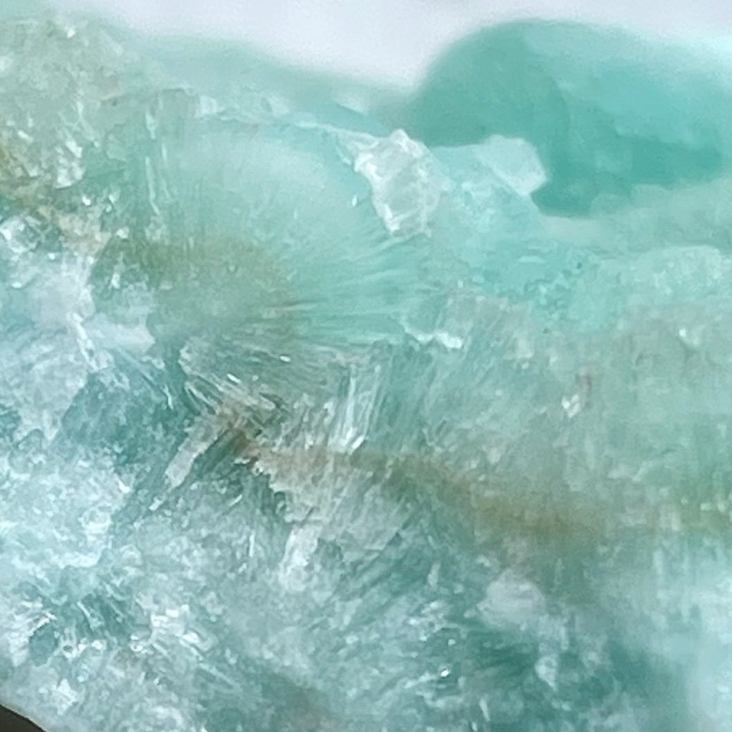 ウサギノネドコ東京店 tweet media