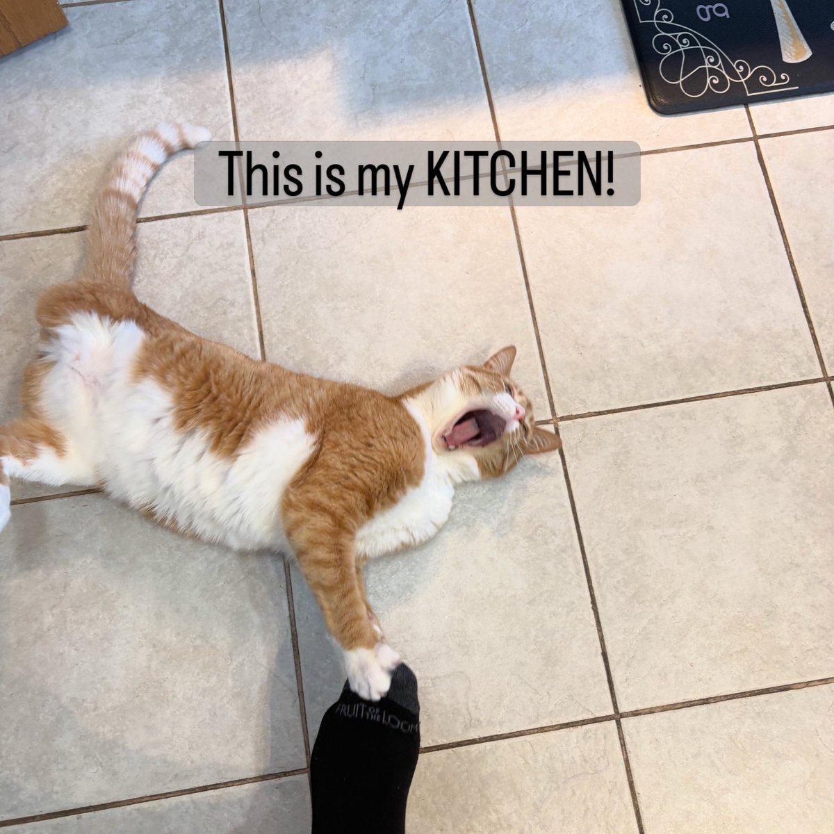 Nathan Martin tweet media