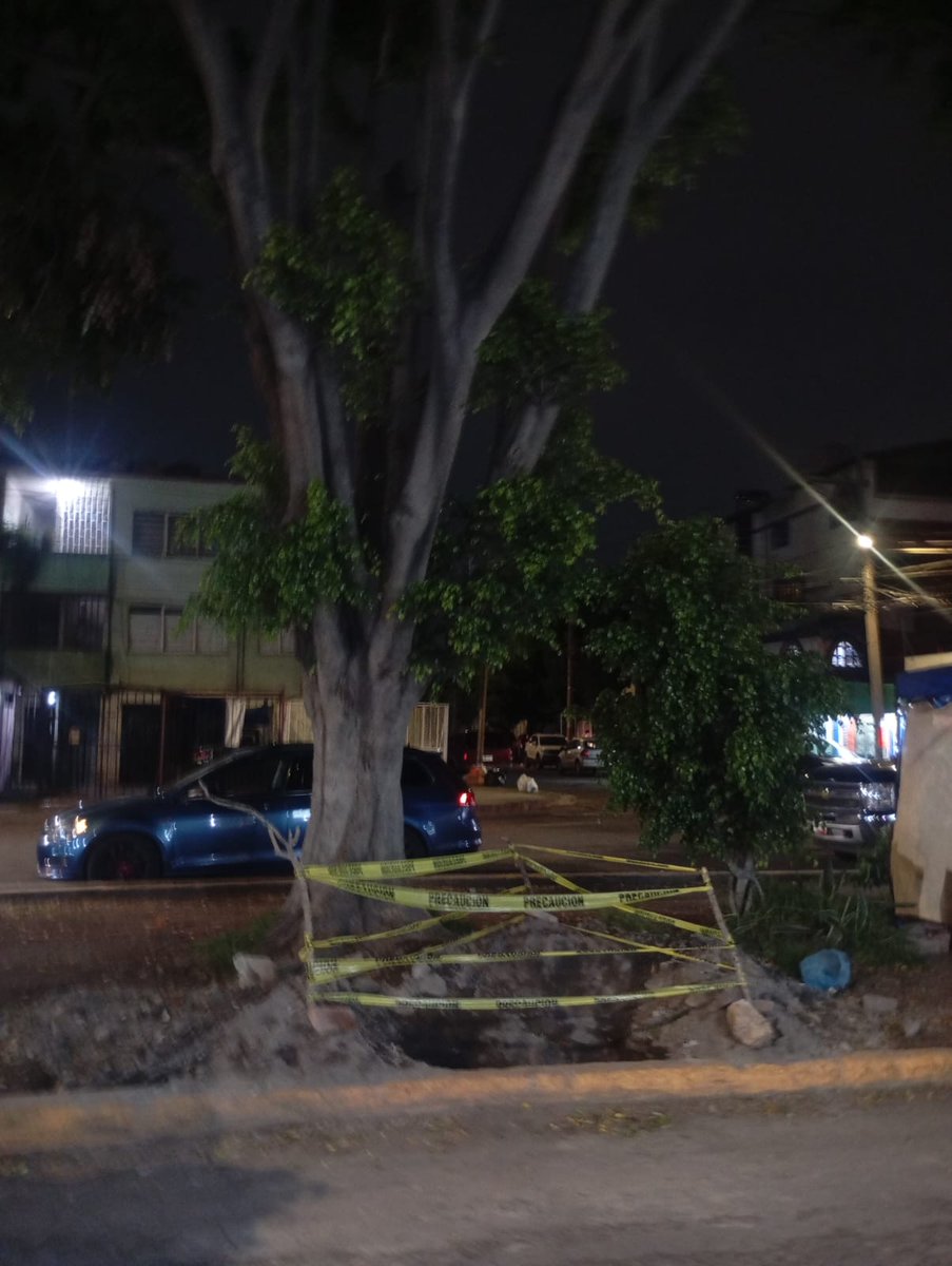 Guardabosque Urbano tweet media