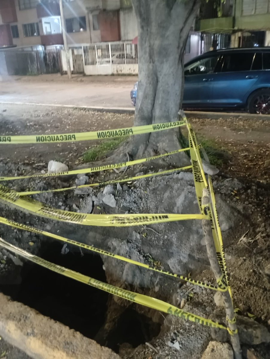 Guardabosque Urbano tweet media