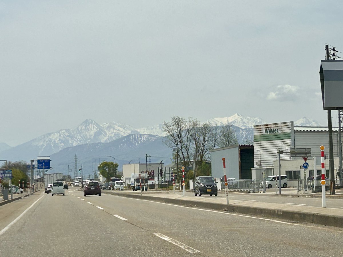 陽向-0̸1 tweet media