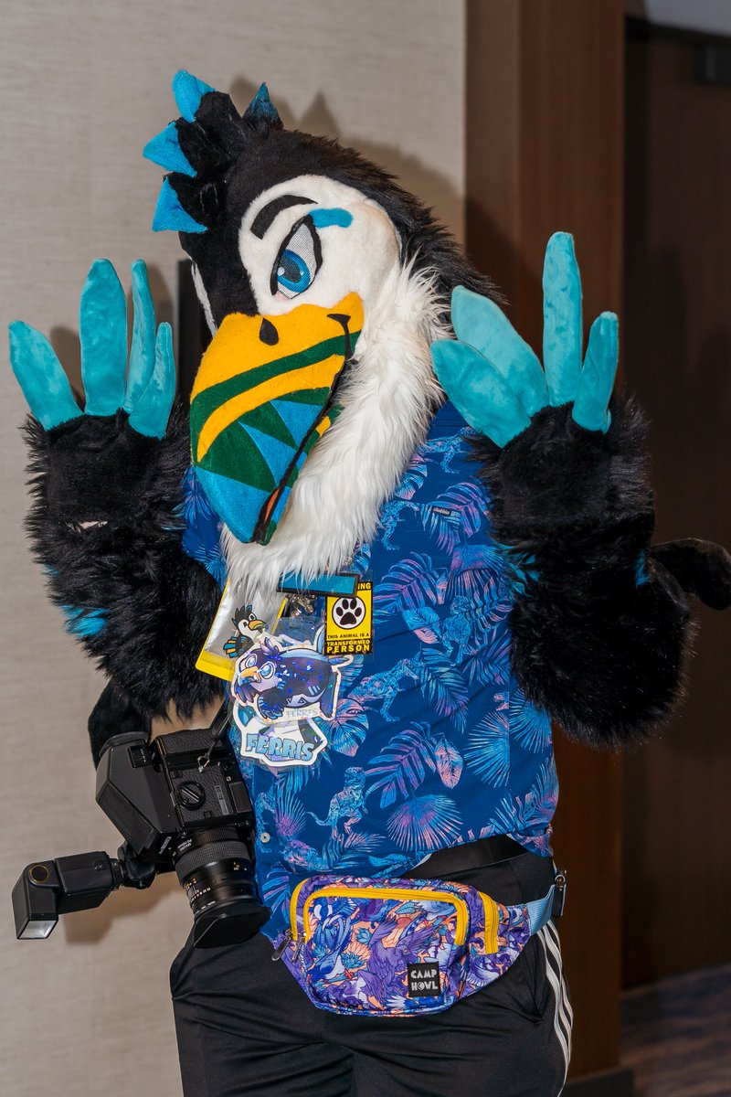 FerrisTheToucan's tweet photo. I can't help it bro I love my fwingers https://t.co/zes0hS14qK