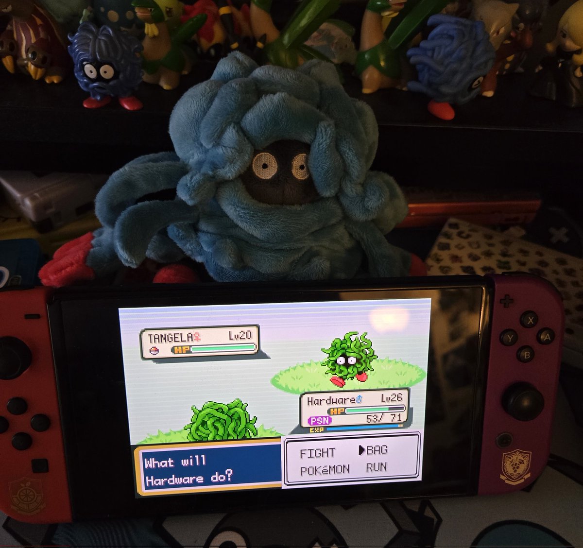 Matt (Absol) tweet media