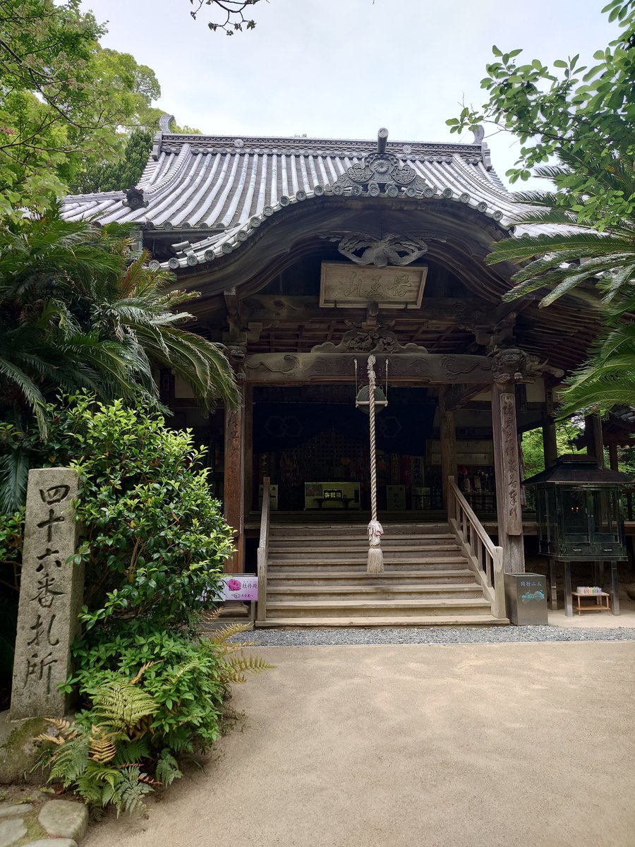 daichann63's tweet photo. 46番　浄瑠璃寺 https://t.co/jz9HhOVL1L