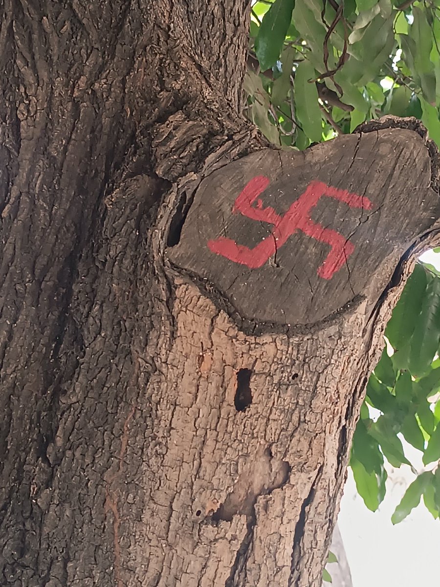 El Chigüire Con Traje 🇻🇪 tweet media