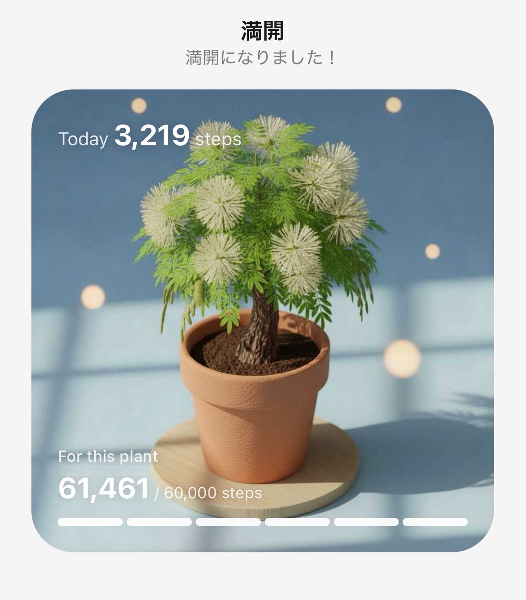 #PixelPot
歩いて植物育成中🌱
気がついたら満開になってた！