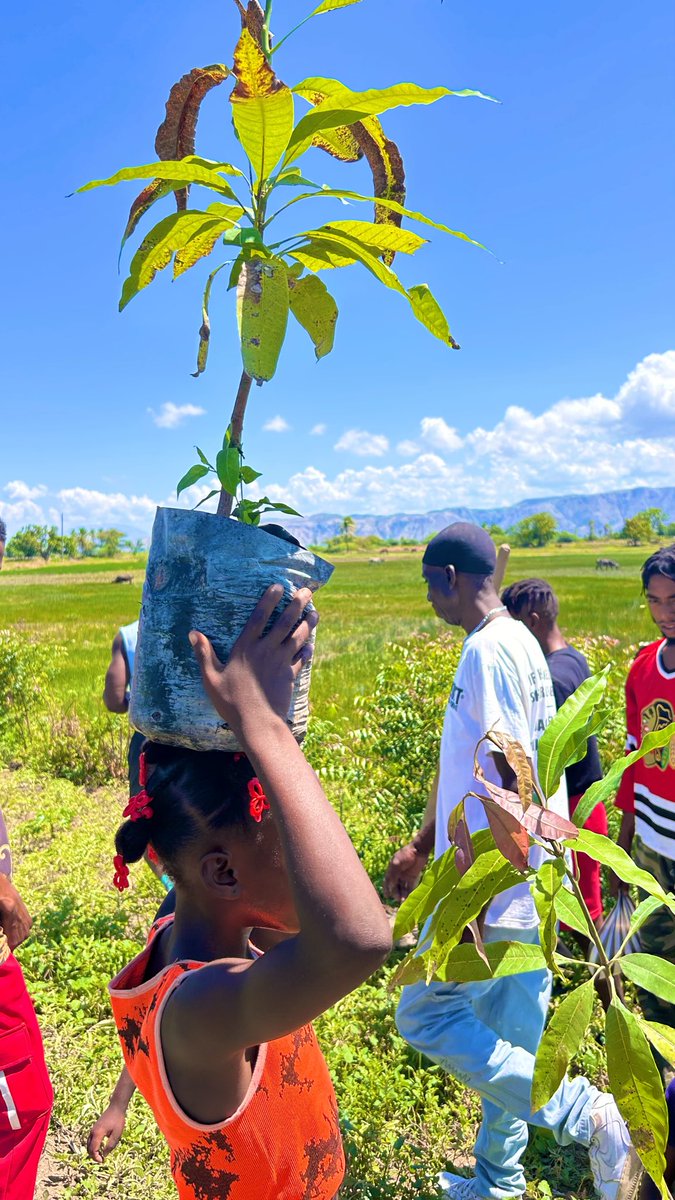 Mrs.Dezod🇭🇹🌱 tweet media