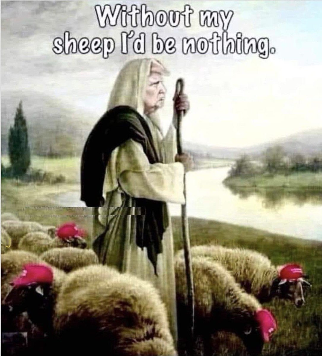 Dana💙Lynn 🇺🇸 tweet media