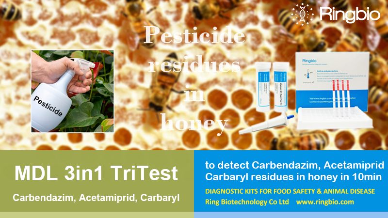 Ringbiotests's tweet photo. #Ringbio’s MDL 3in1 TriTest is a 10min #lateralflow rapid test kit to detect #Carbendazim, #Acetamiprid, #Carbaryl residues in #honey. The detection limit meets #EU #MRL. The kit is ready to use for #farmers, #beekeepers and #labstaffs.

Check here, https://t.co/lyDaU1PNOz https://t.co/43FM2XDVCl