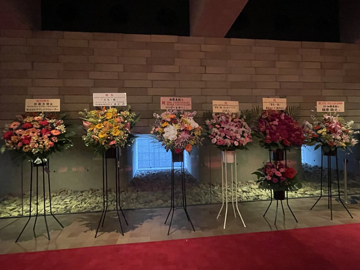 Noriko🐈📷 tweet media