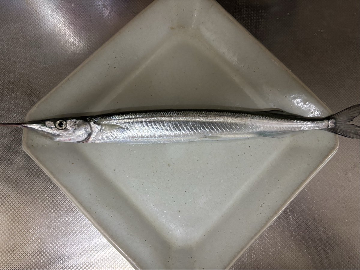 大盛りバンザイ tweet media