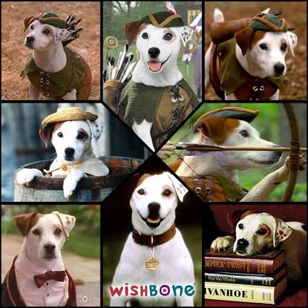 Furyan Ray tweet media