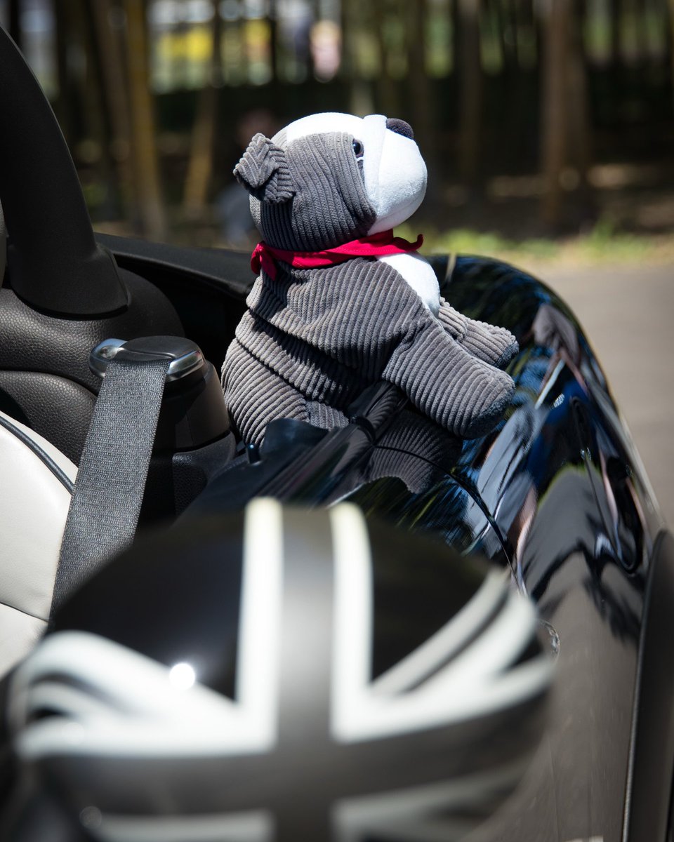 MINI_JAPAN's tweet photo. MINI Family の写真シェア4月編!
気候もすっかり暖かくなって、皆さんの楽しそうなMINIとのお出かけ写真が増えてきました🚙✨
これからのお出かけシーズン、 #MINIFamily で沢山写真投稿してね📸
1 IG/ d_ske.59ride
2 IG/ n.papa0615
#MINIJapan https://t.co/zQIOKXrnOf