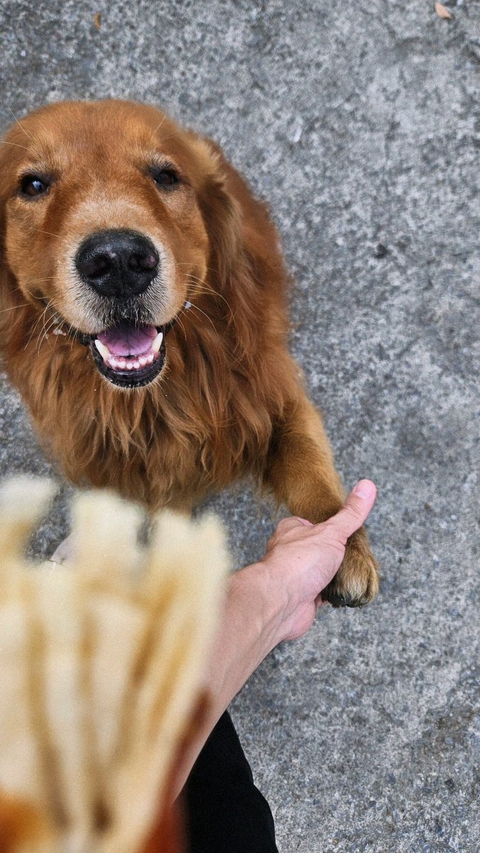 SkyFreedom76529's tweet image. ช่วง...ชี้นกเป็นนก ชี้ไม้เป็นไม้ 
       ...ขอมือเดียว ได้สองมือ!♤
#GR #ไอ้เด้น