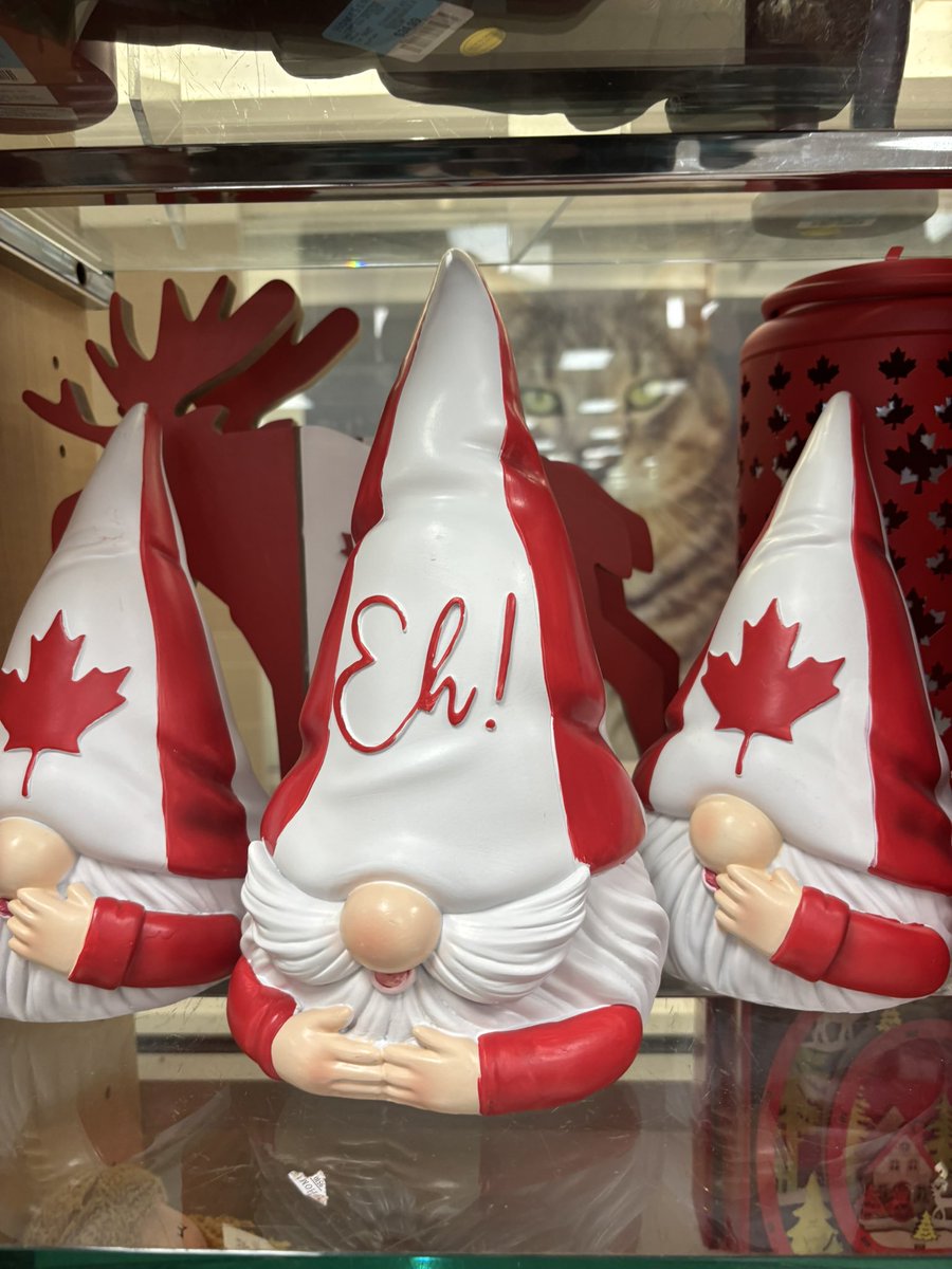 erin !! ✪ tweet media