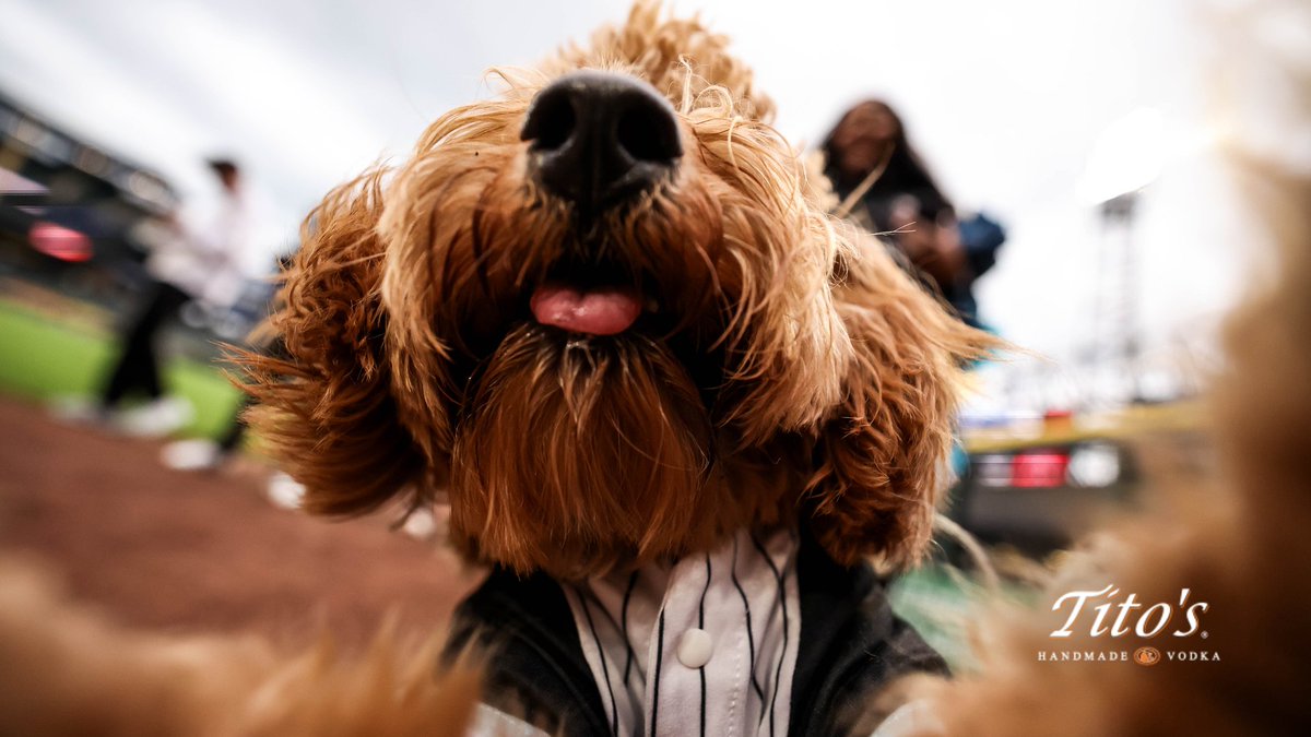 Chicago White Sox tweet media