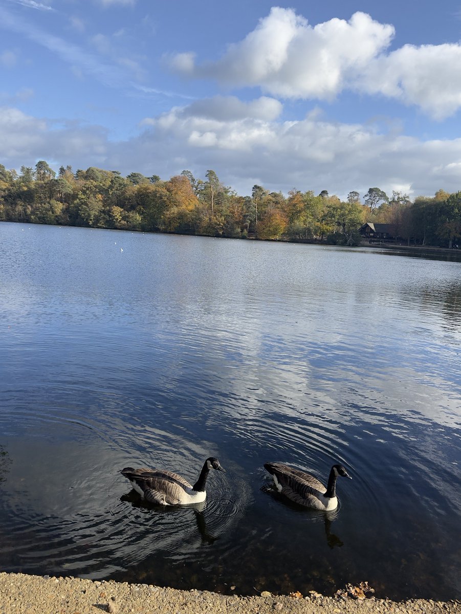 Njoki_kathy's tweet image. Twos day! Good morning 💙Thoughtful Tuesday ➡️ Every journey is different, one thing at a time, celebrate small wins and honour your feelings. #goodmorning #tuesday