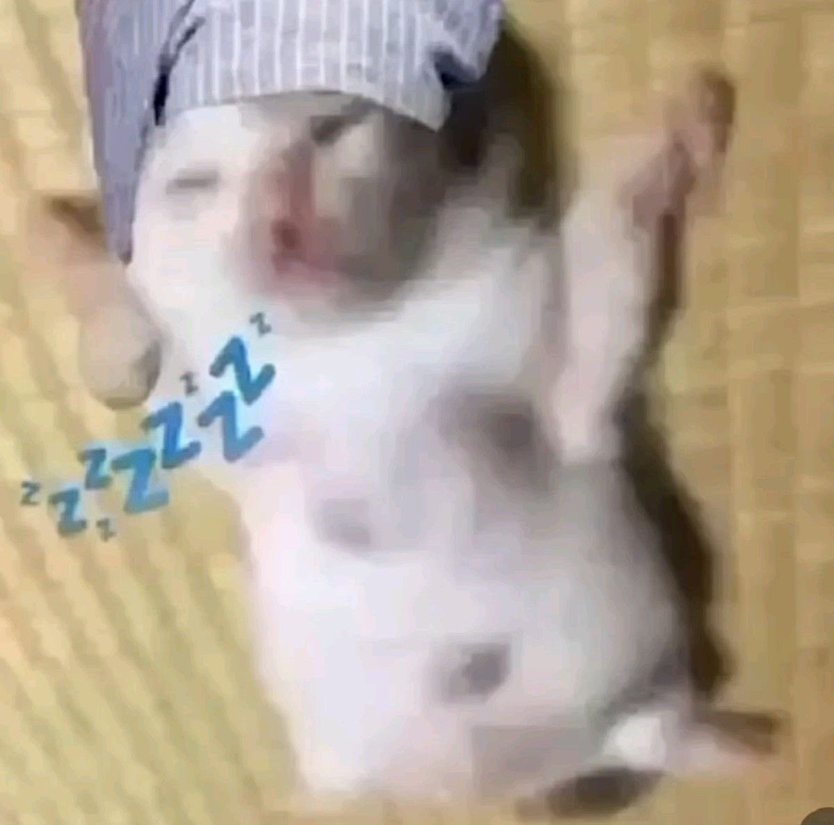 𝓁ali ⁷ ♱ ࣪ ˖ vai ver o bts!! 28/10 tweet media