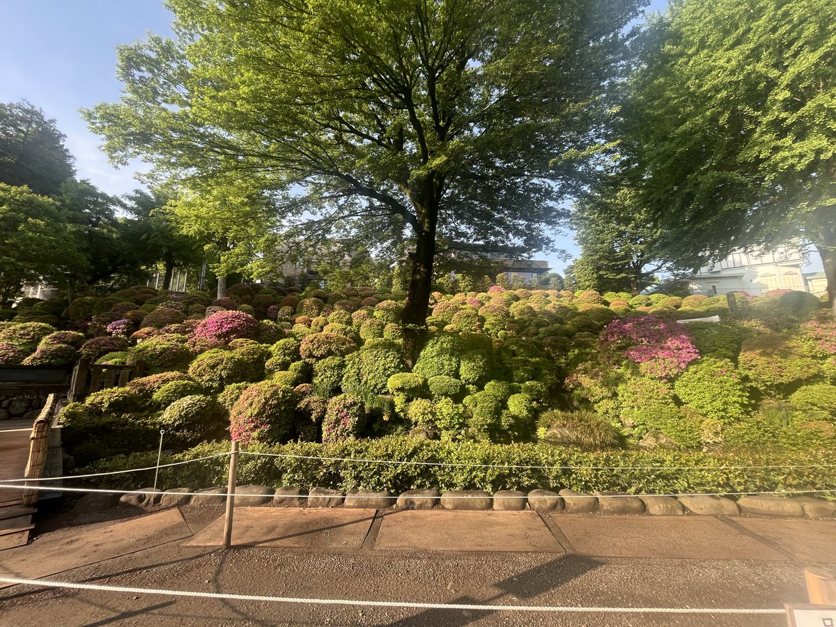 千駄木二丁目西町会(中の人たち) tweet media