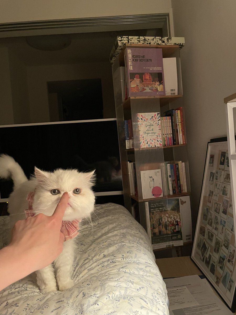 ข้าวหมูกรอบจานข้าวหมูแดงจาน tweet media