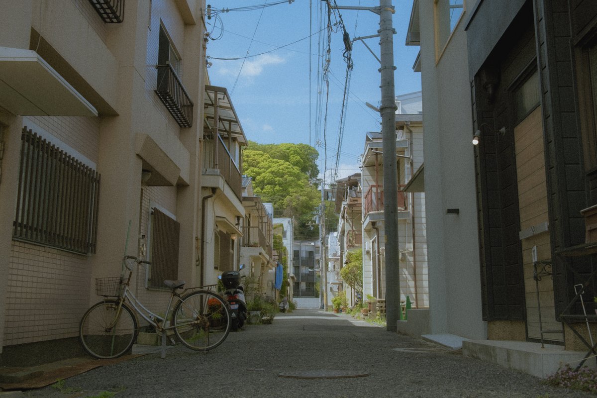 ぼんやり tweet media