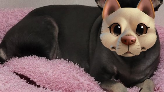 마린_Marine🕯 tweet media