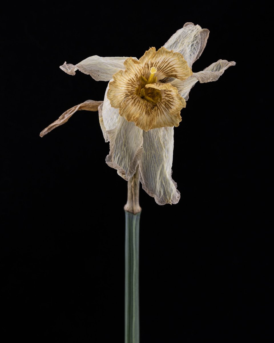 Jason DeBloois Photography tweet media