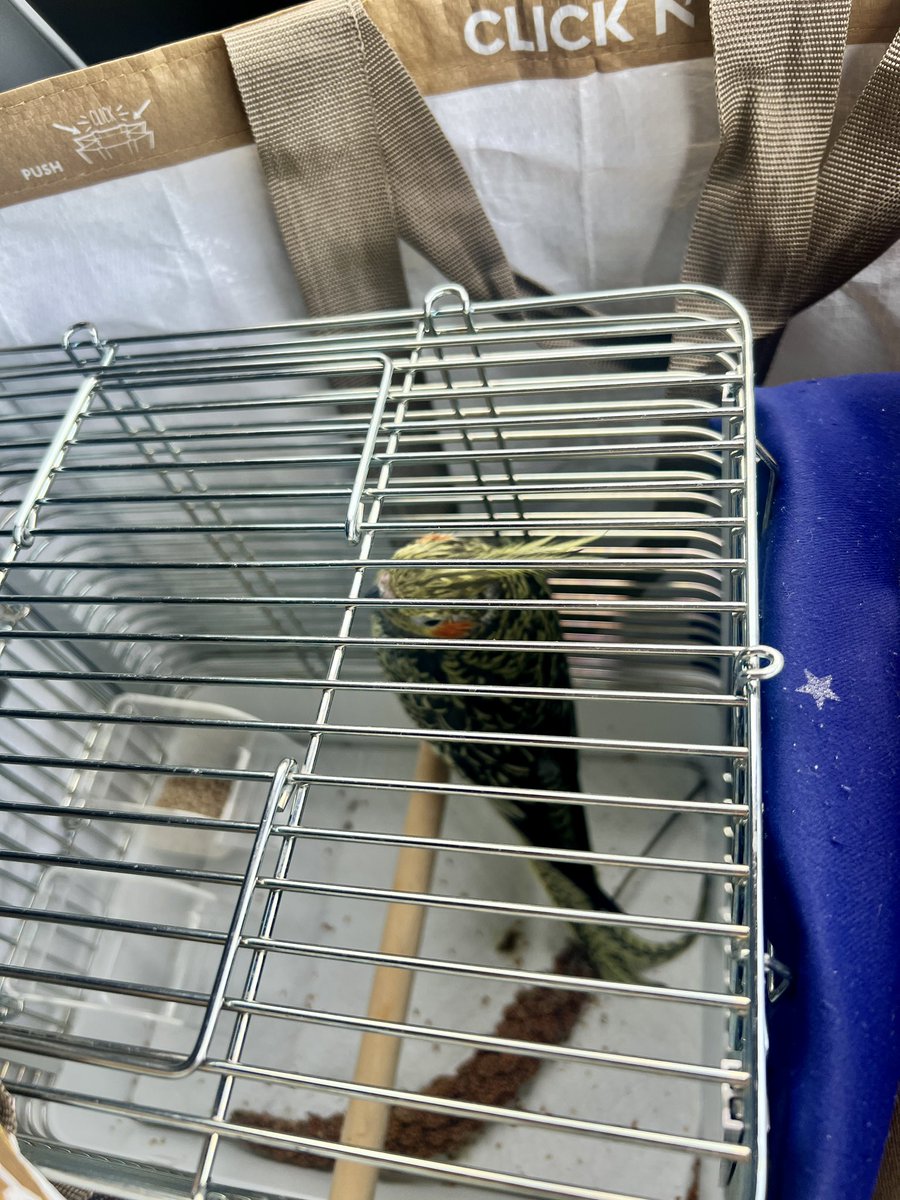 すな🐥無職なアラ還 tweet media