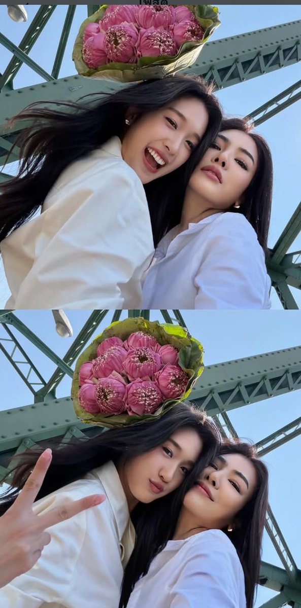 Jomkhwan ( JOM ) BOL🌻💛🍑🚩 tweet media