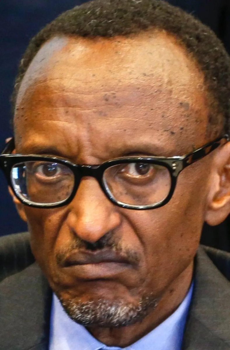 Panthera tweet media