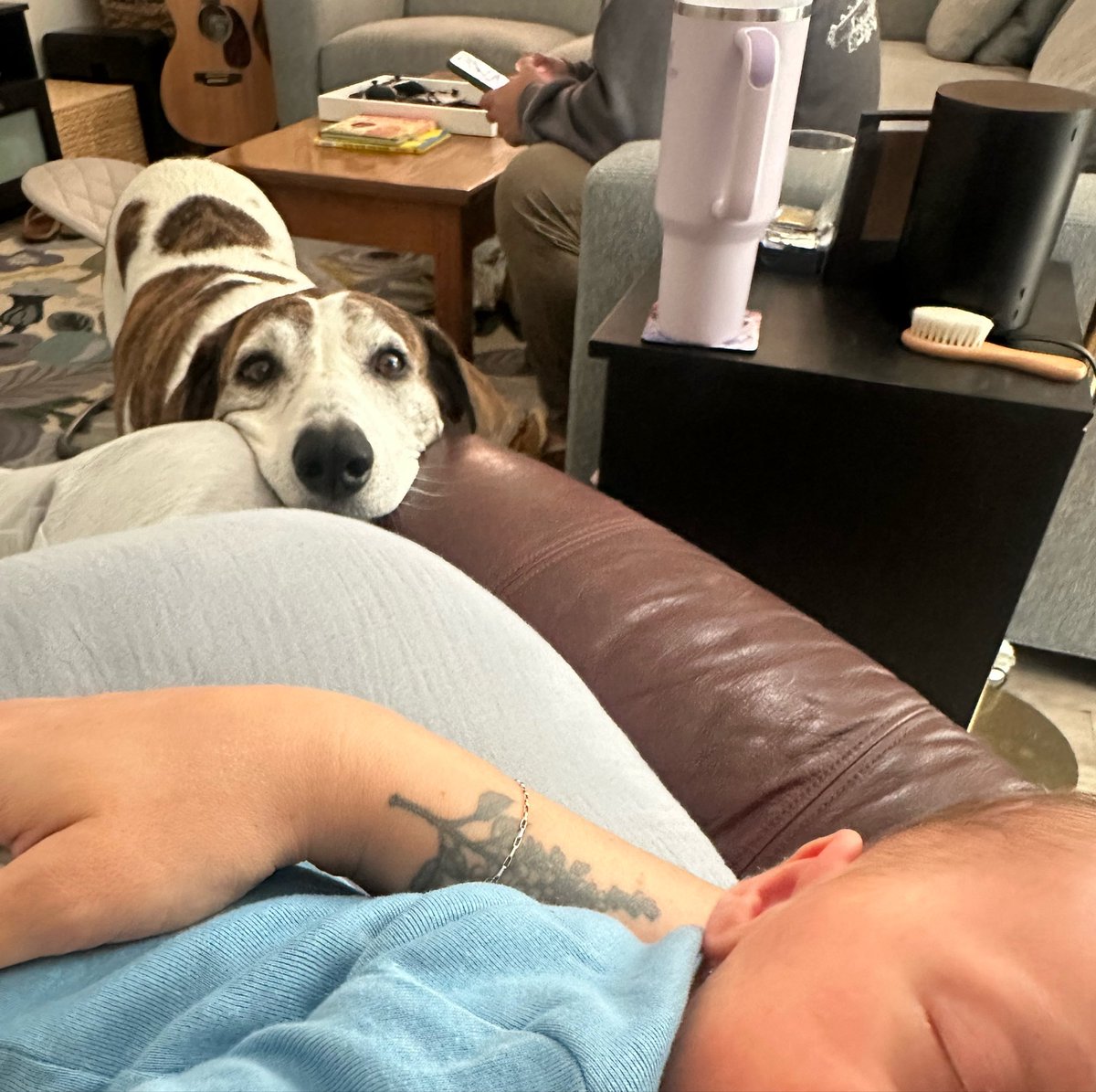 JuBeBallin's tweet photo. One postpartum issue I’ve seen excessively online that I am so grateful I can’t relate to at all is suddenly hating your dogs once you have a baby…. 
My heart is so full for my hounds and I am genuinely sad I can’t give them as much attention as before. https://t.co/IIfUxXxuys