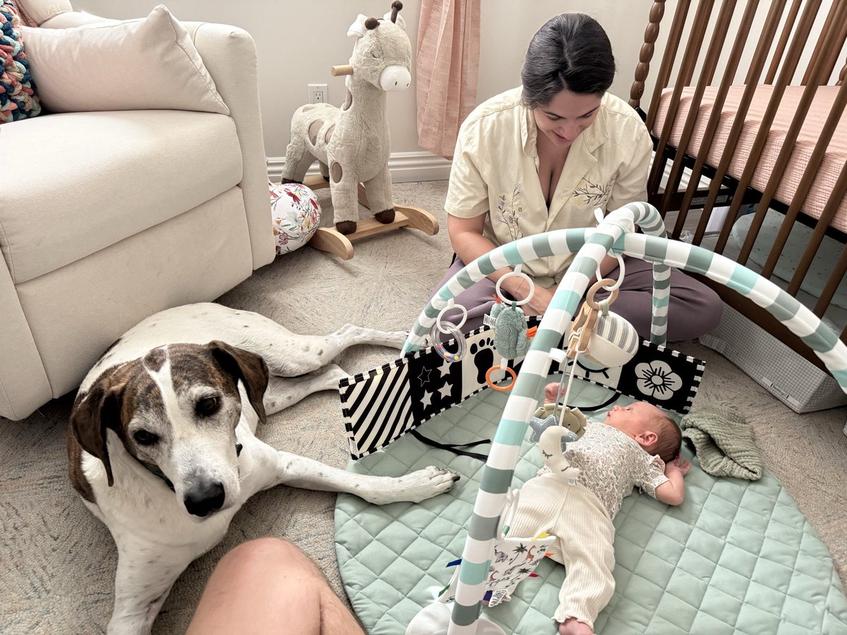 JuBeBallin's tweet photo. One postpartum issue I’ve seen excessively online that I am so grateful I can’t relate to at all is suddenly hating your dogs once you have a baby…. 
My heart is so full for my hounds and I am genuinely sad I can’t give them as much attention as before. https://t.co/IIfUxXxuys